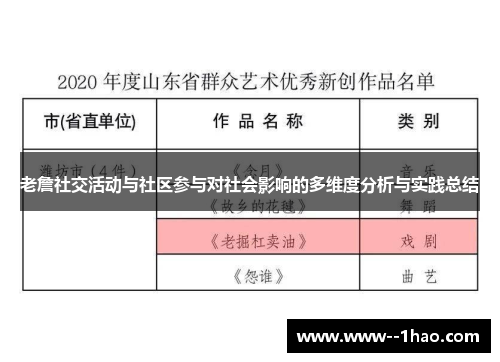 老詹社交活动与社区参与对社会影响的多维度分析与实践总结