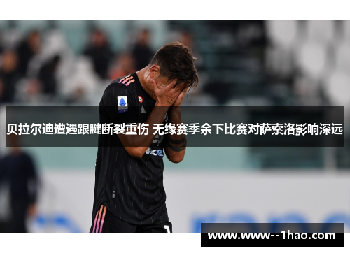 贝拉尔迪遭遇跟腱断裂重伤 无缘赛季余下比赛对萨索洛影响深远 贝拉尔迪遭遇跟腱断裂重伤 无缘赛季余下比赛对萨索洛影响深远
